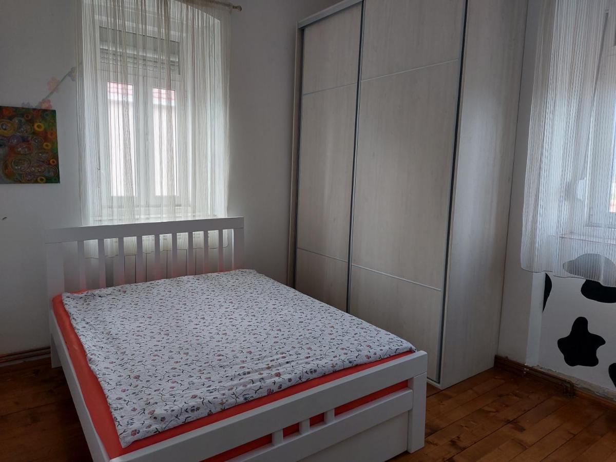 Vila Boljevic Podgorica Luaran gambar